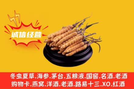 乐山回收冬虫夏草